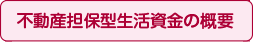 不動産担保型生活資金の概要